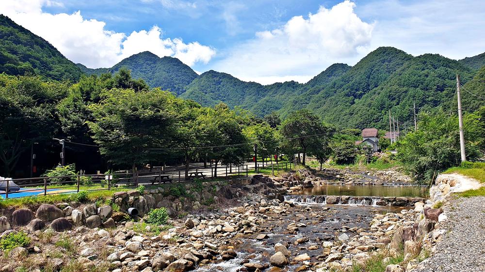 단양 남천 야영장