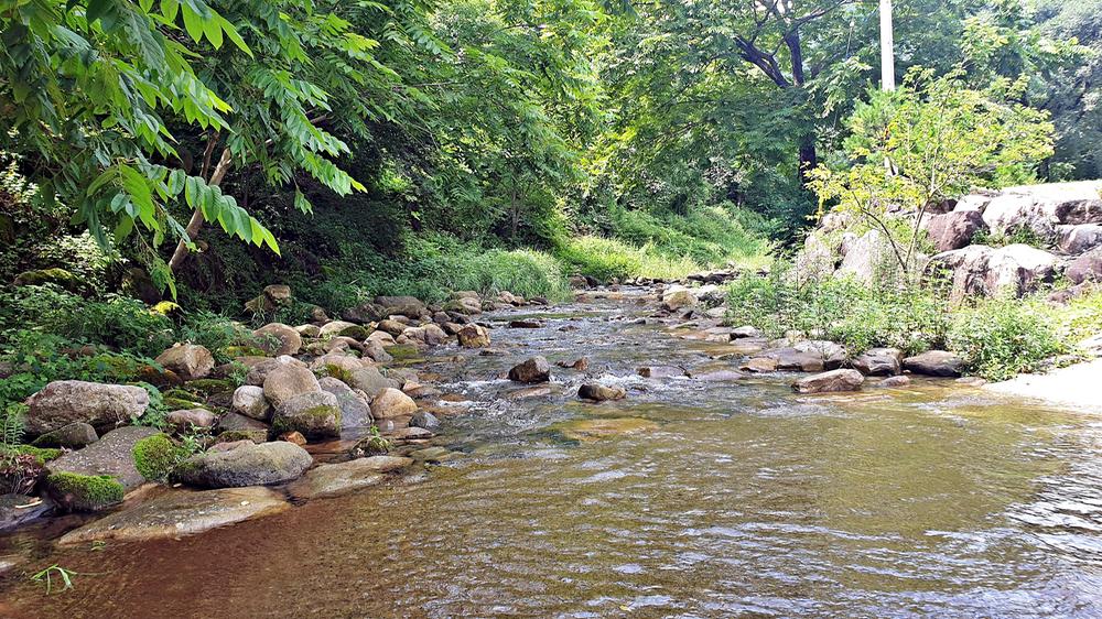 단양 남천 야영장