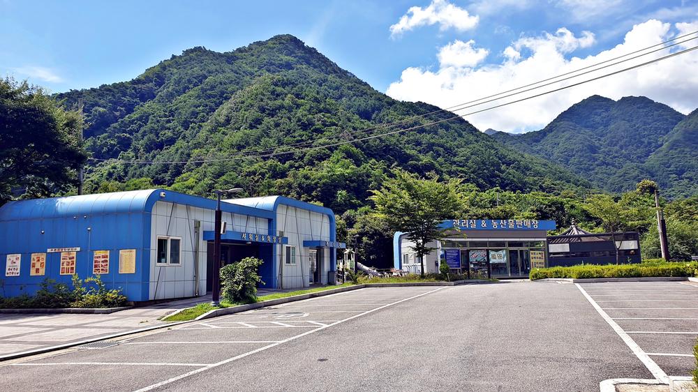 단양 남천 야영장