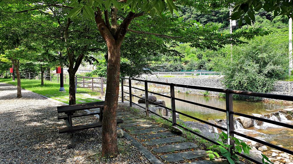 단양 남천 야영장