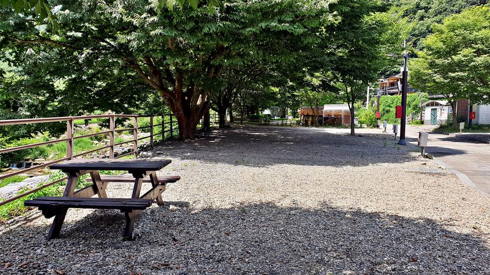 단양 남천 야영장