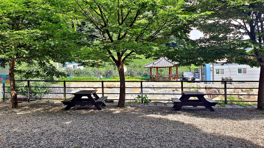 단양 남천 야영장