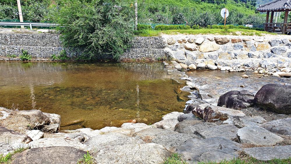 단양 남천 야영장