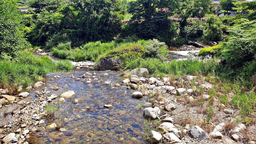 단양 남천 야영장