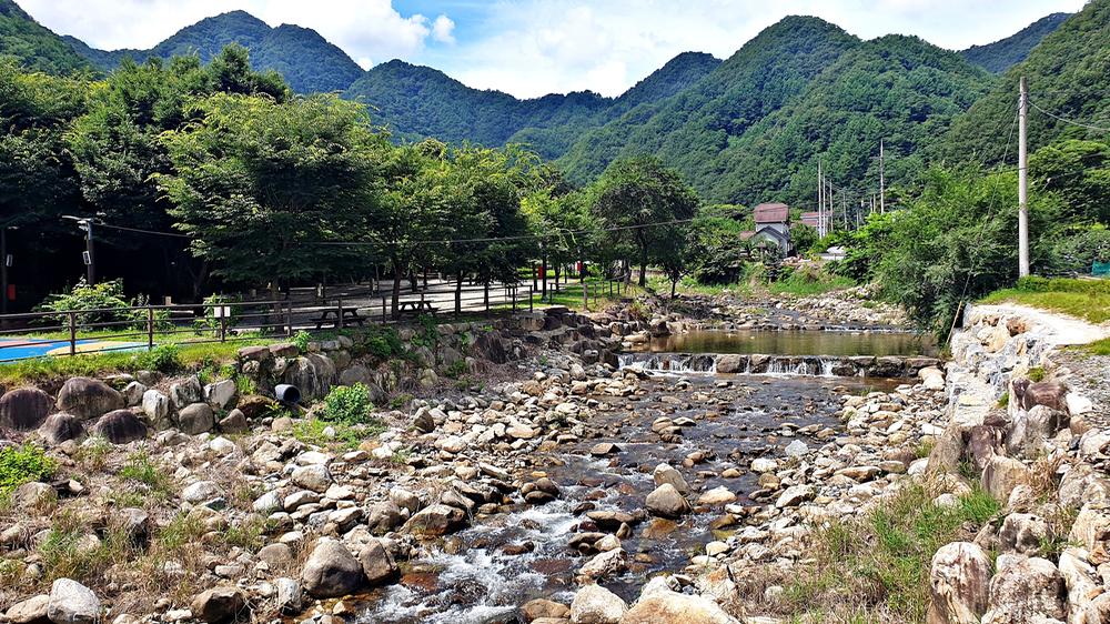 단양 남천 야영장