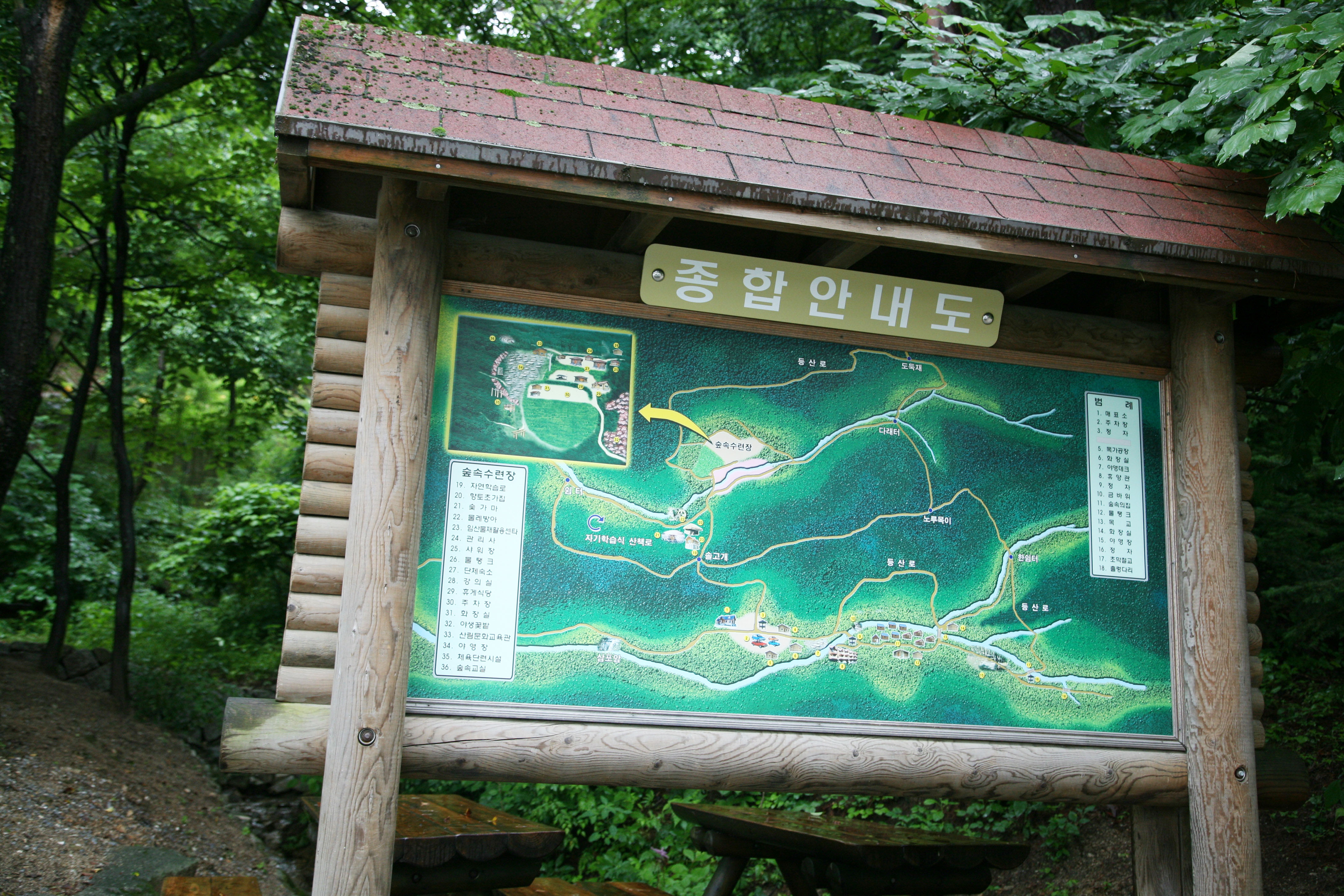 대관령자연휴양림야영장
