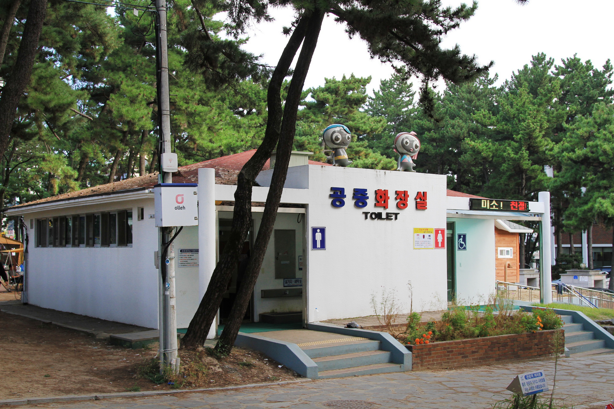 대천해수욕장 야영장