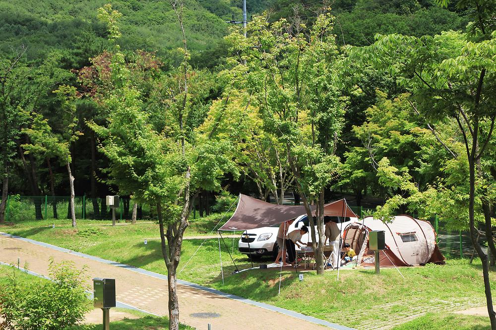 팔공산국립공원 도학 야영장