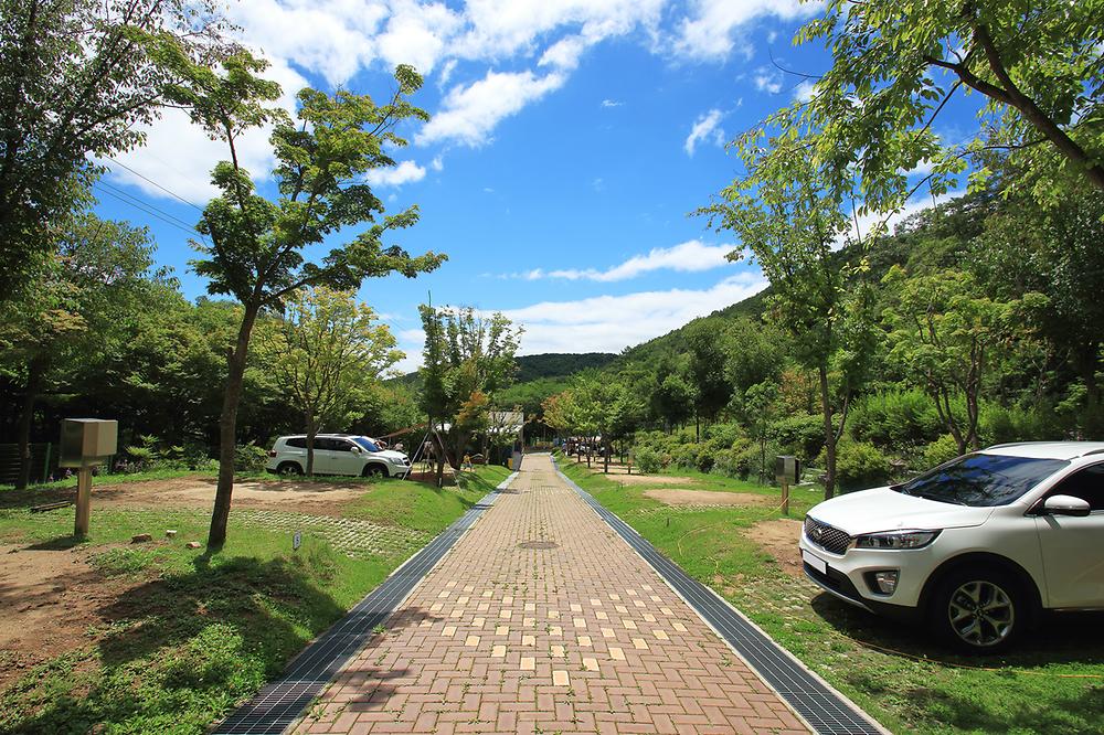 팔공산국립공원 도학 야영장