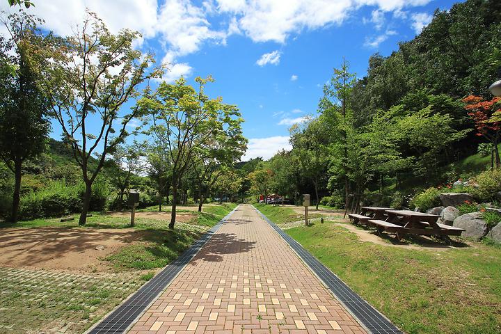 도학 오토캠핑장