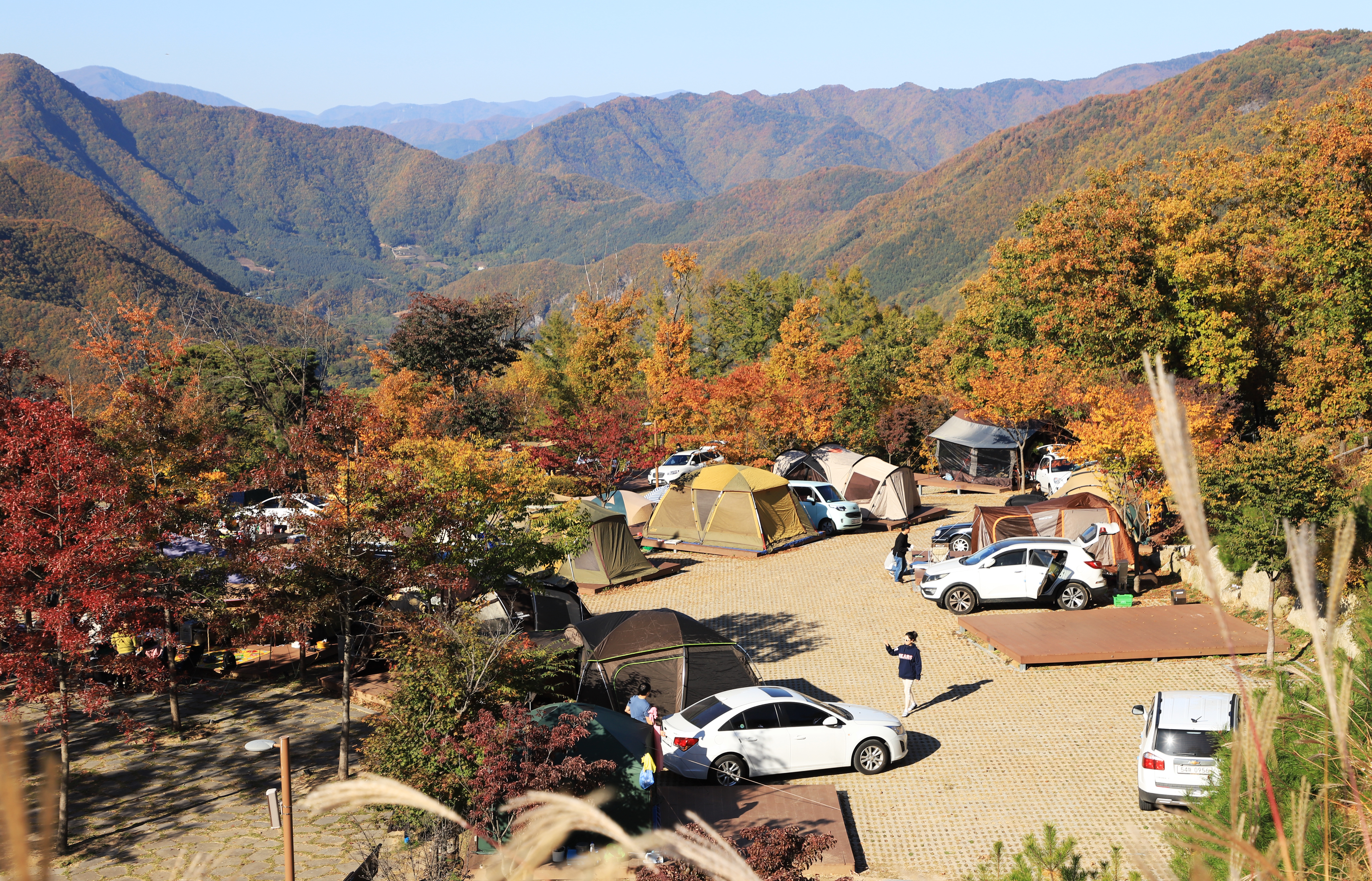 동강전망자연휴양림오토캠핑장