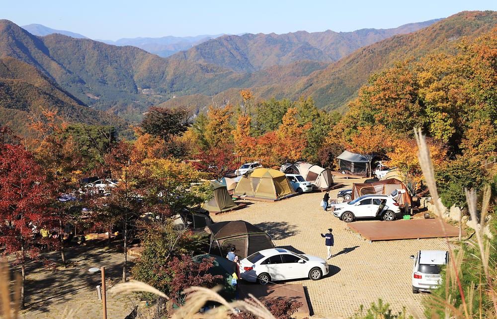 동강전망휴양림오토캠핑장
