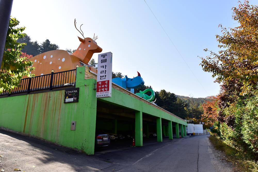 동물카라반