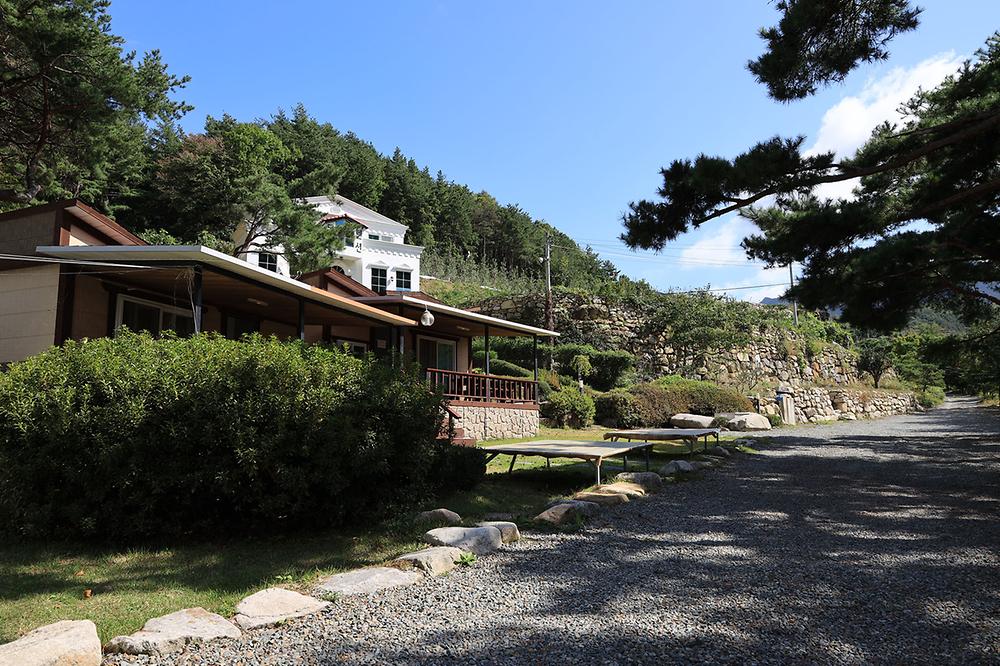 동산계곡 야영장