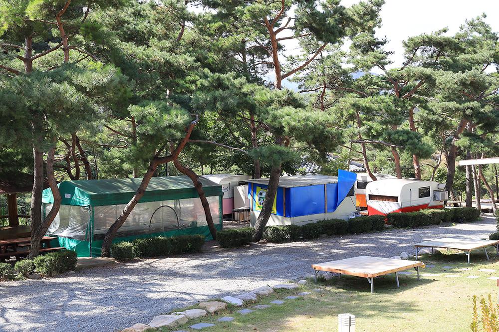 동산계곡 야영장