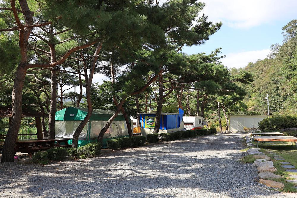 동산계곡 야영장