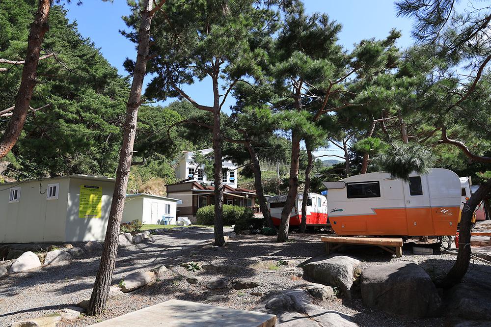 동산계곡 야영장