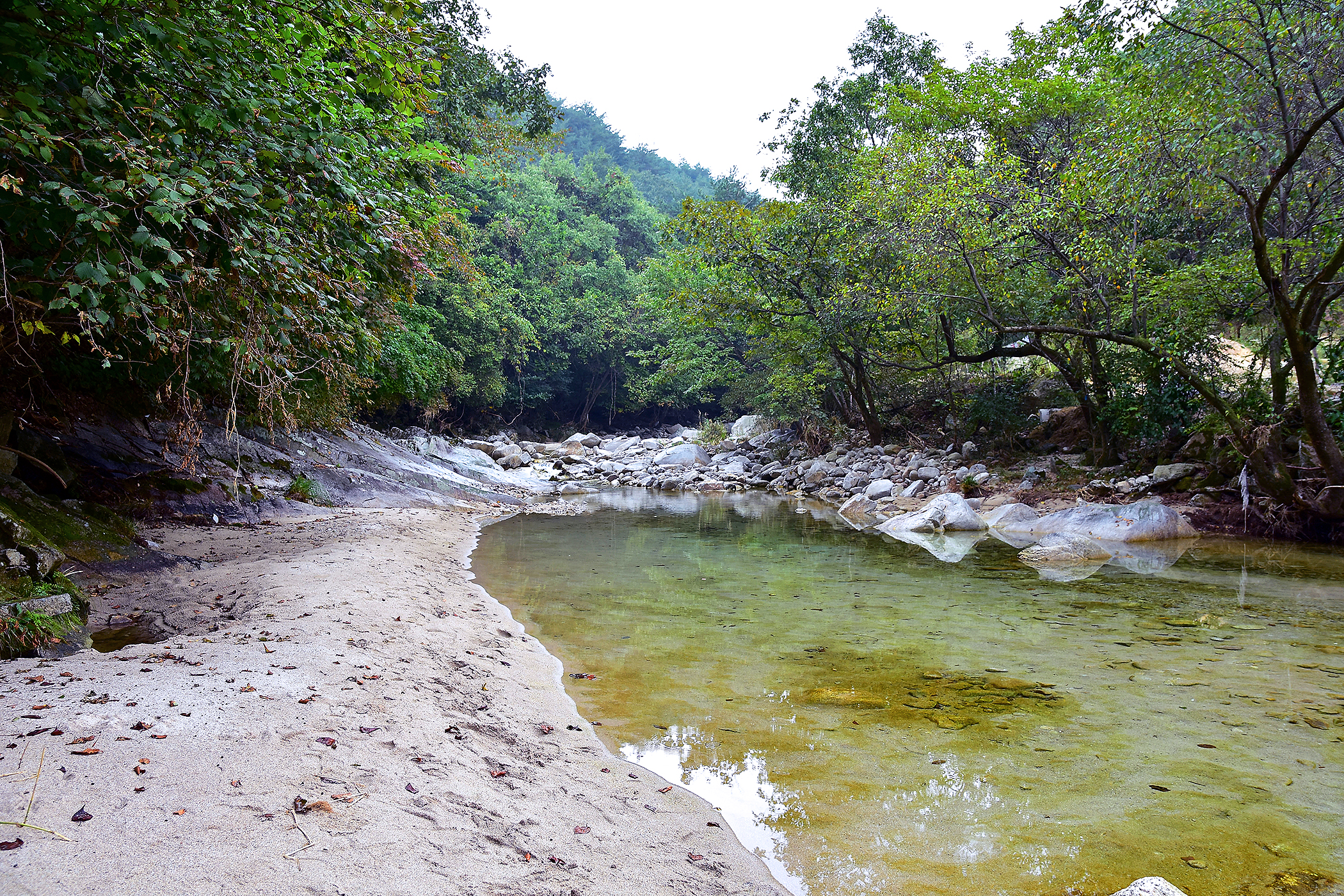 계곡메사 오토캠핑장펜션