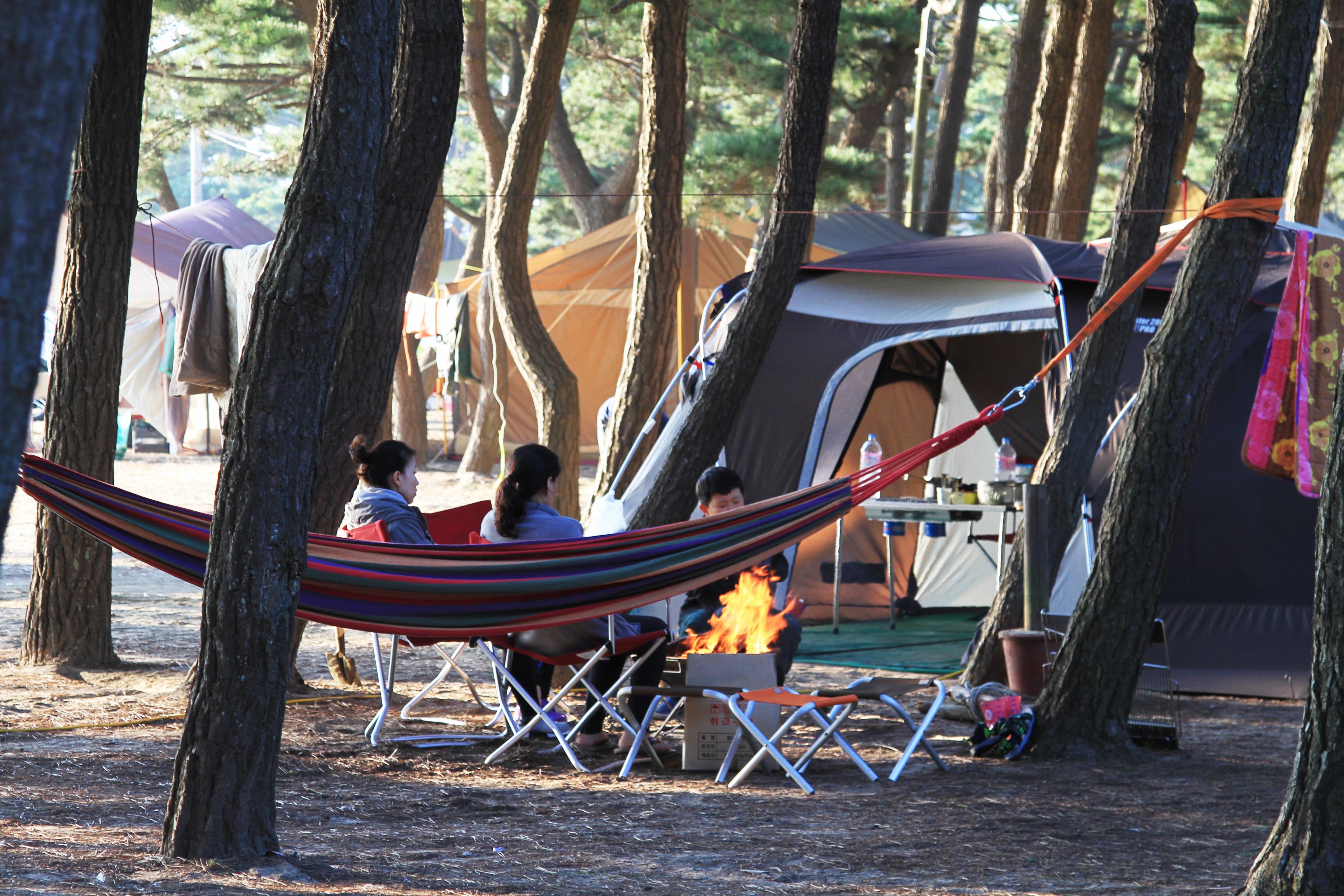 몽산포 자동차 야영장