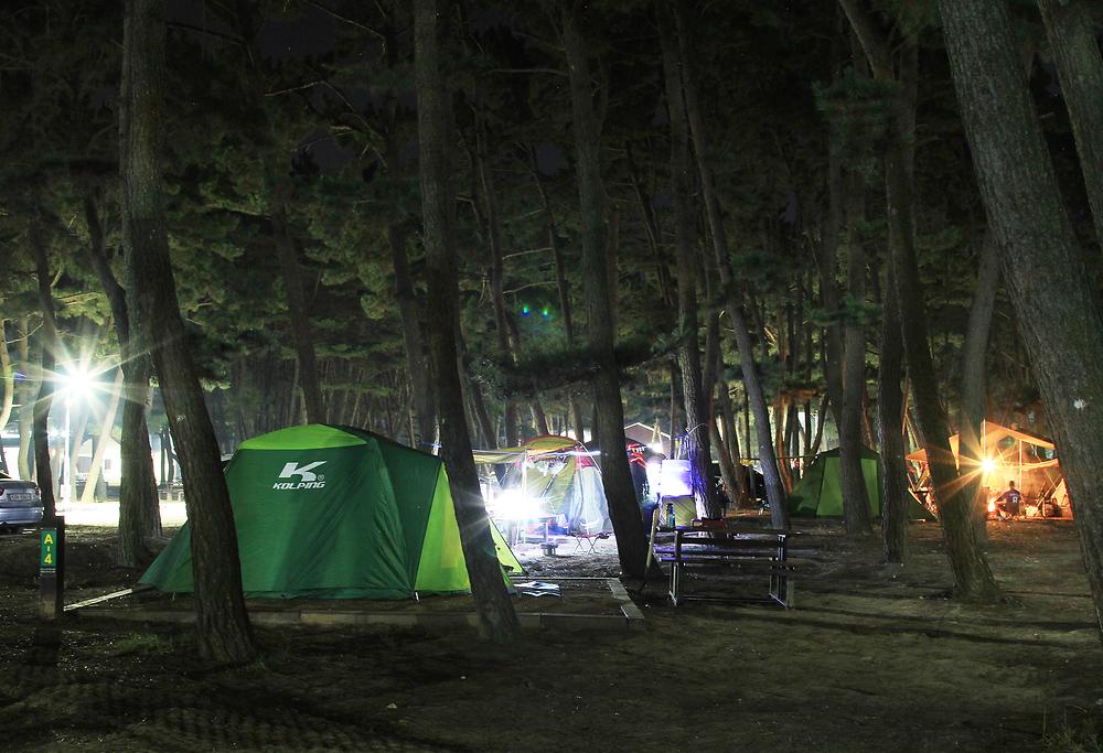 몽산포 자동차 야영장