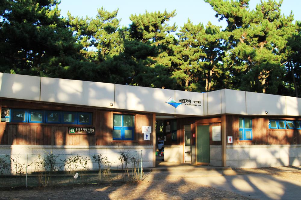 몽산포 자동차 야영장