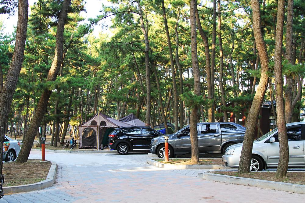 몽산포 자동차 야영장