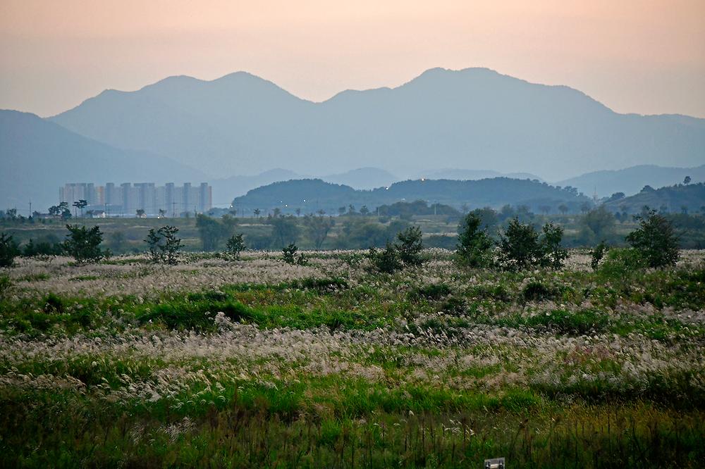 밀양아리랑 오토캠핑장