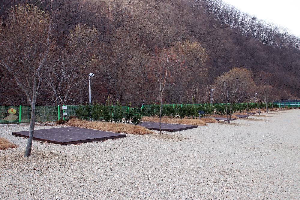 별밤펜션 캠핑장