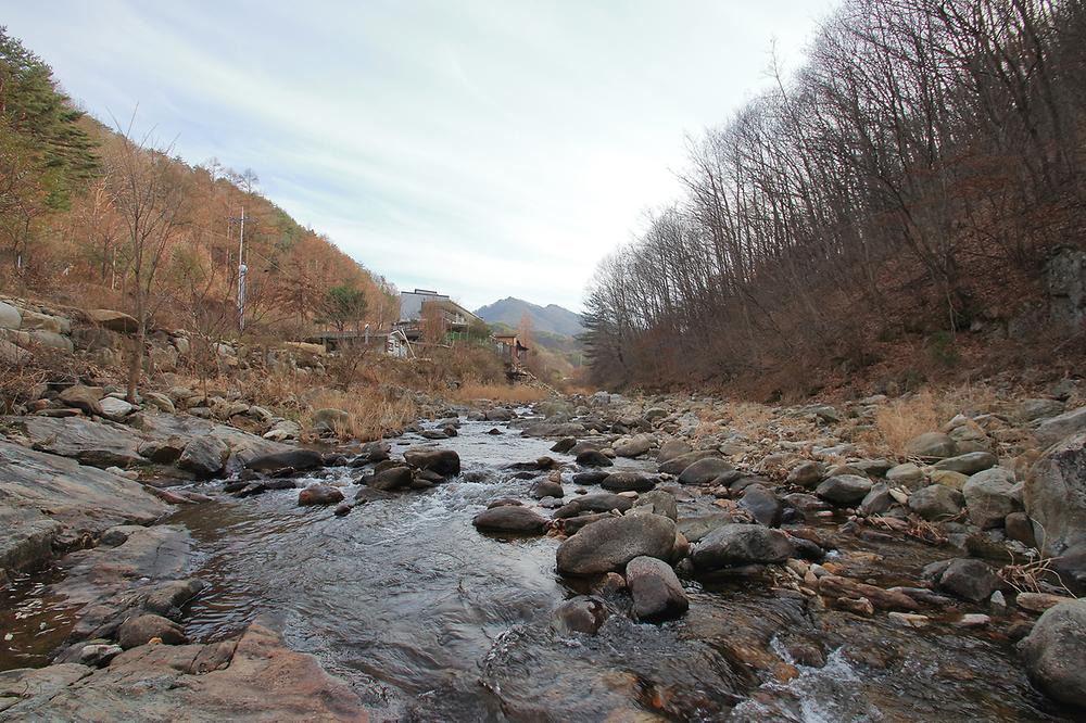 별밤펜션 캠핑장