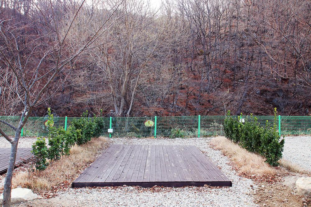 별밤펜션 캠핑장