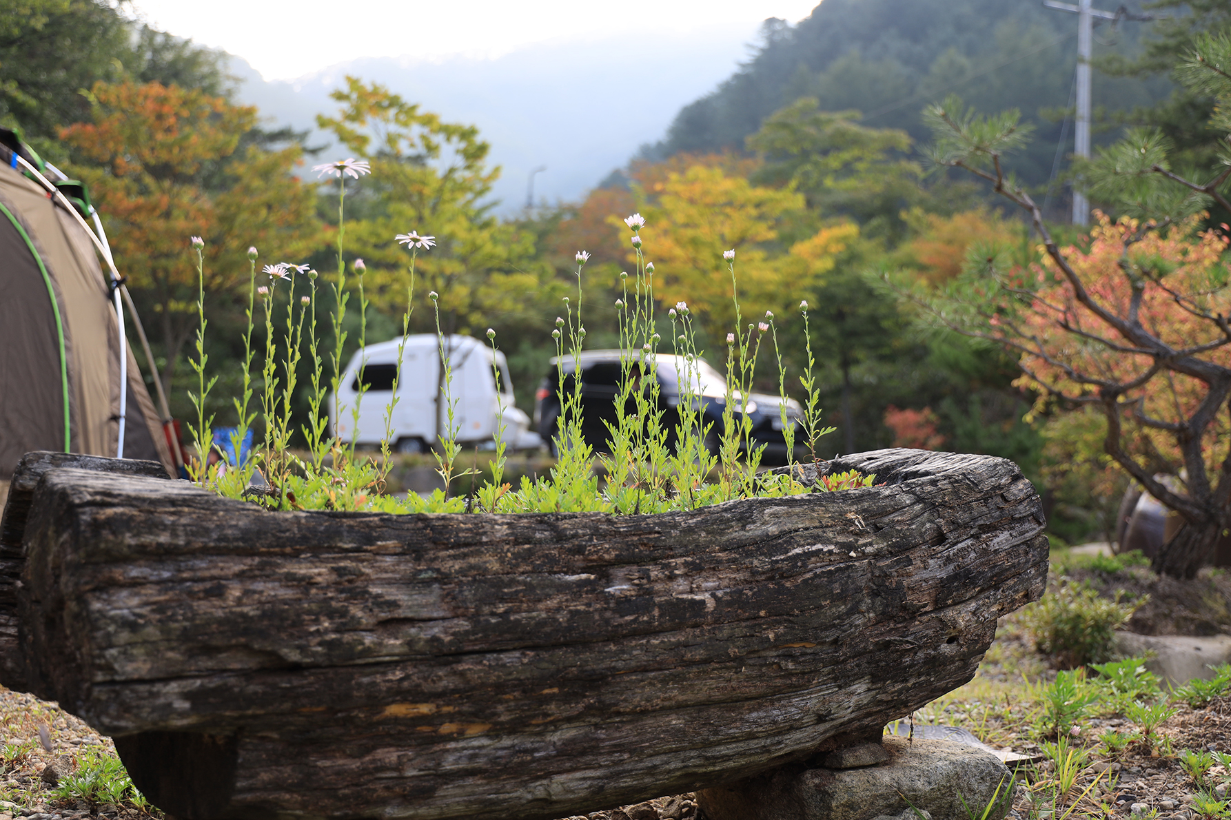 분지울작은캠프장