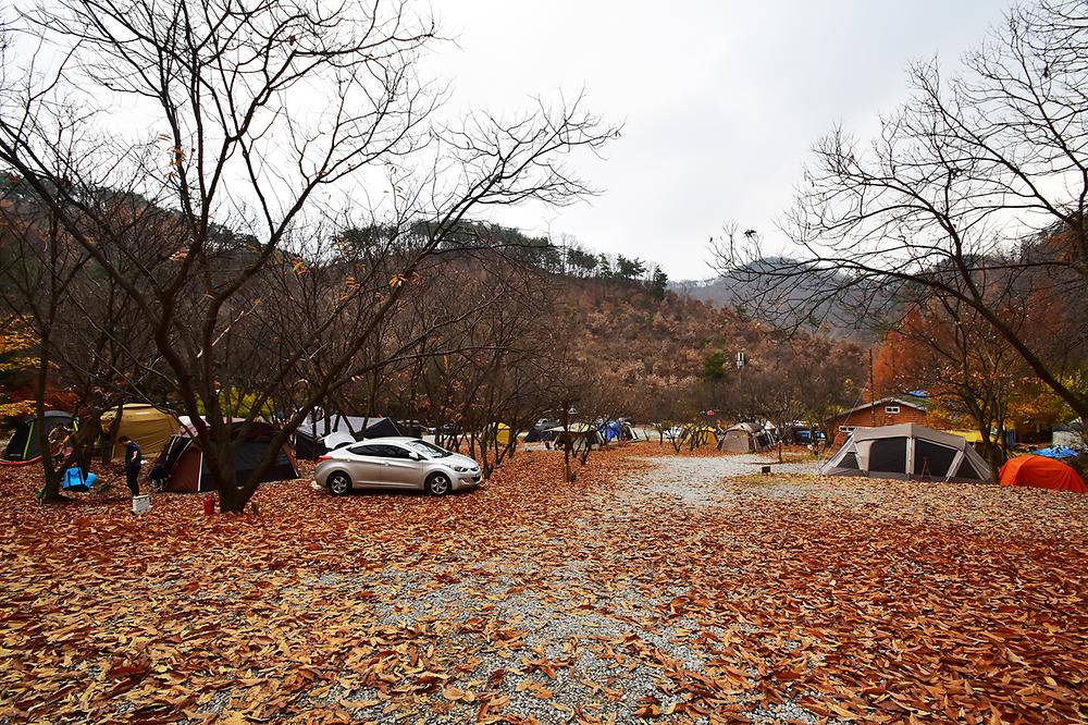 LAFORESTA(라포레스타)