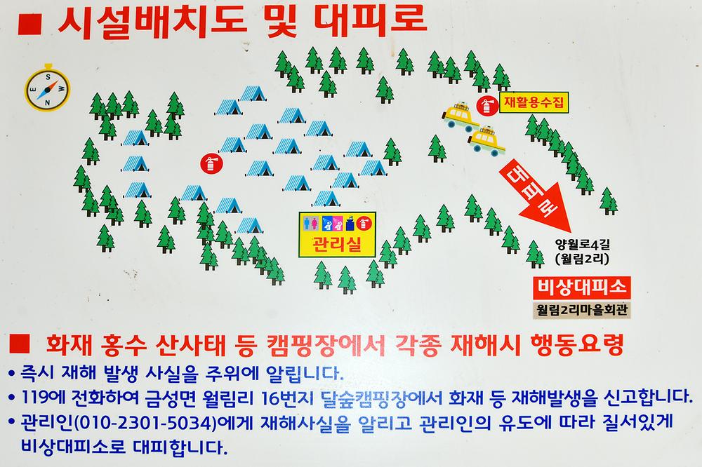 LAFORESTA(라포레스타)