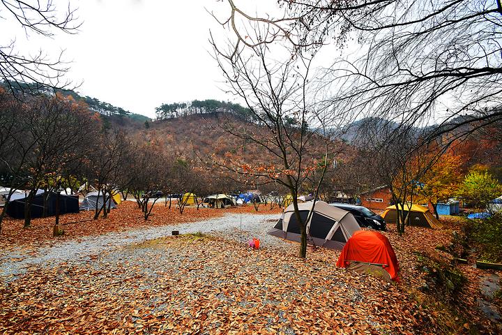 달숲 캠핑장