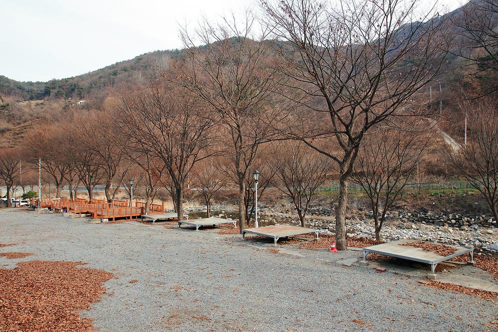 엘림펜션 오토캠핑장