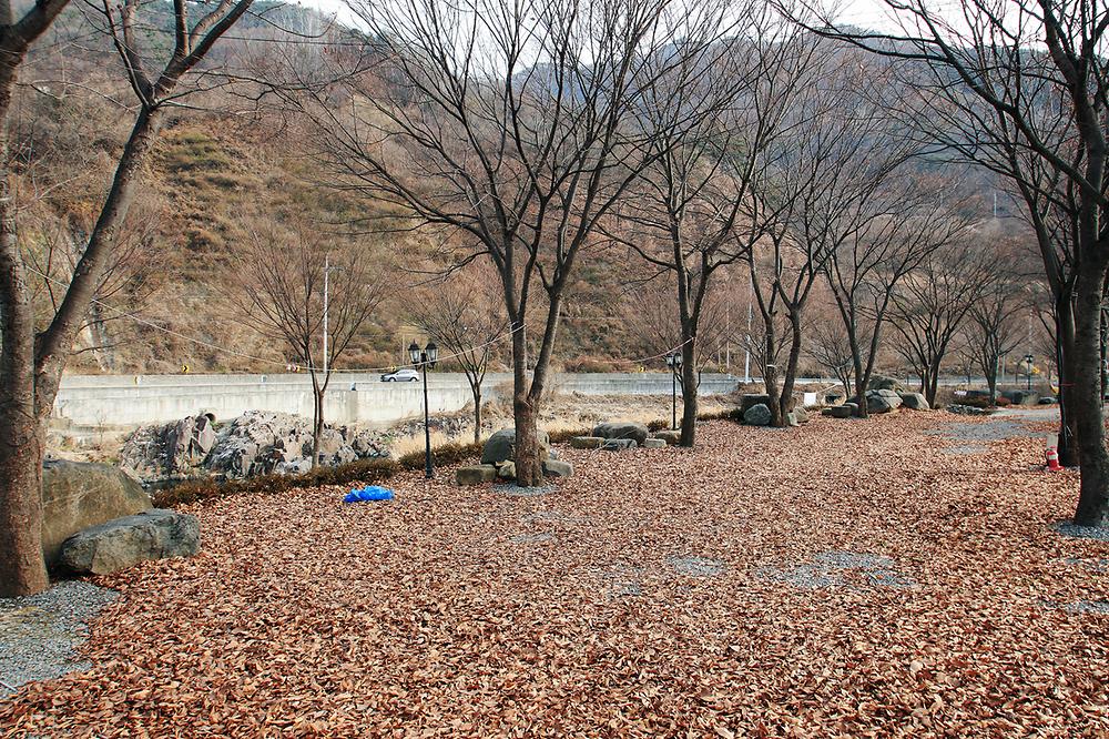 엘림펜션 오토캠핑장