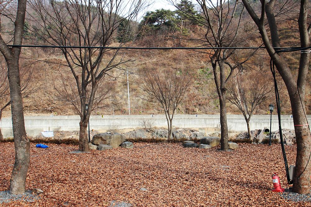 엘림펜션 오토캠핑장
