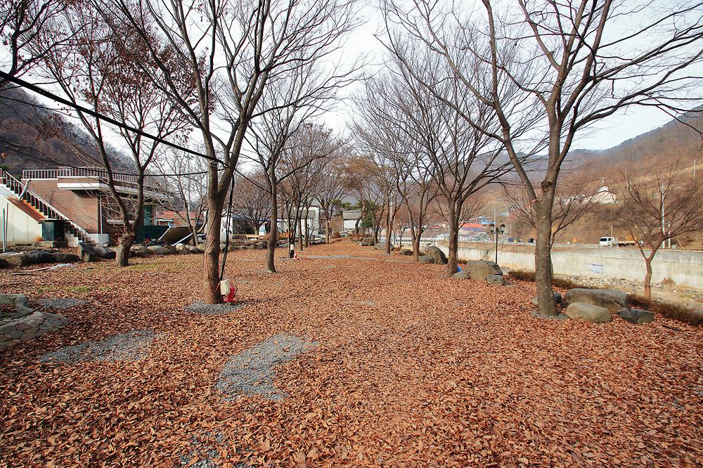 엘림펜션 오토캠핑장