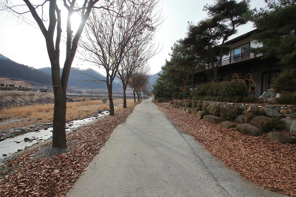 엘림펜션 오토캠핑장