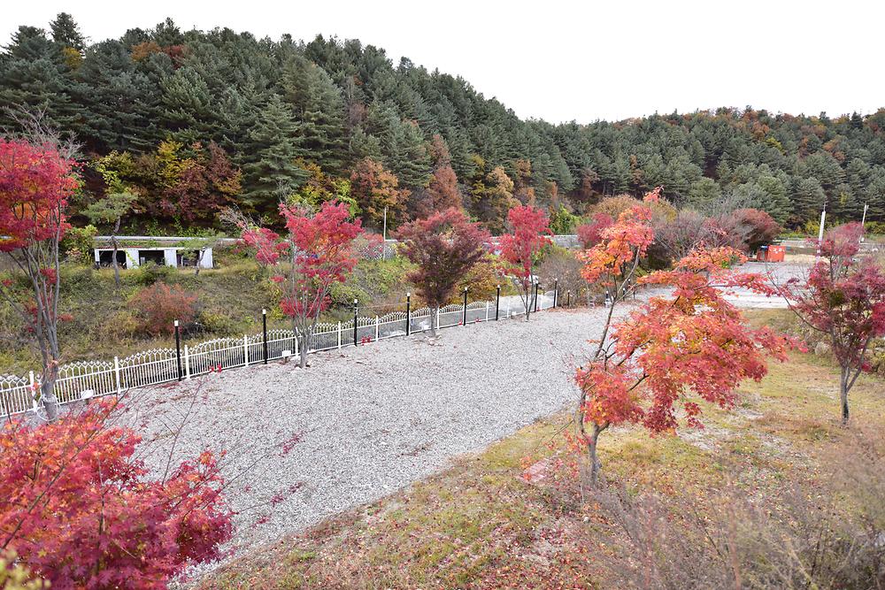 아산영인산자연휴양림숲속야영장충남