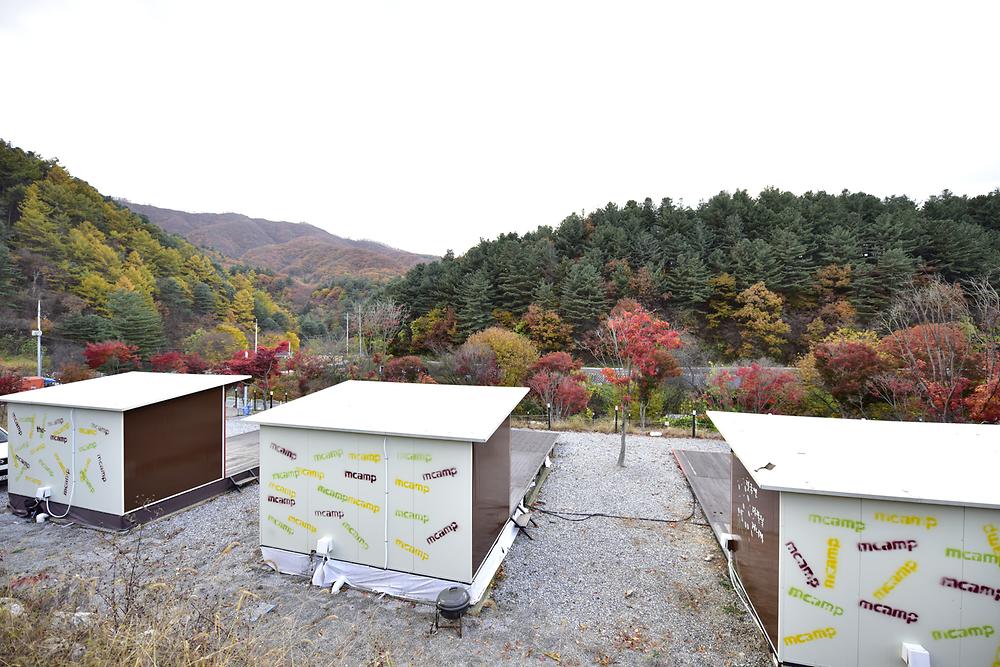더엠캠프