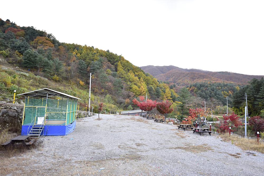 더엠캠프