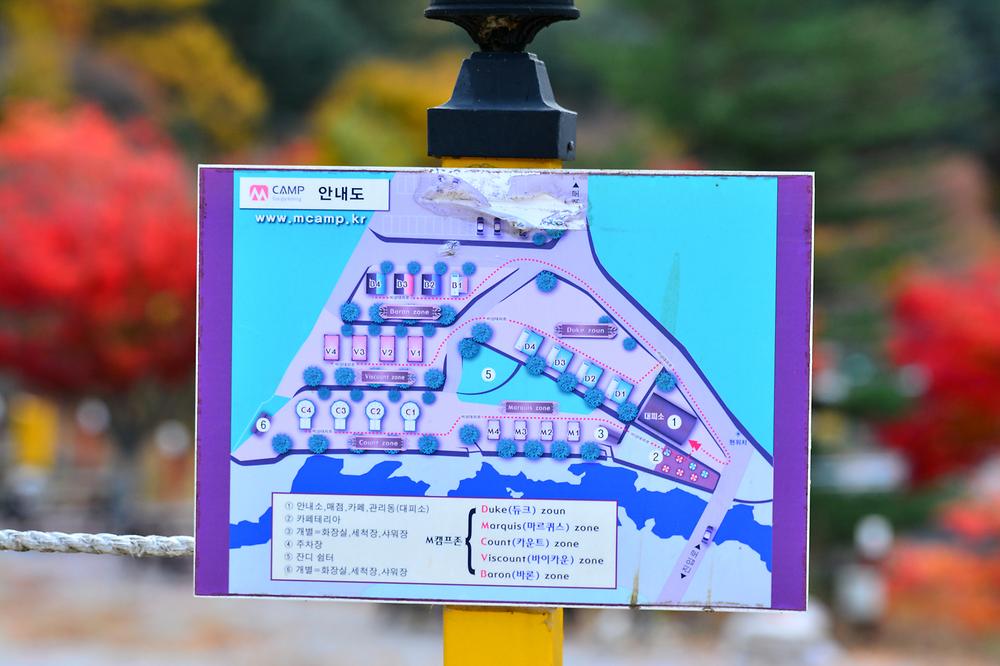 더엠캠프