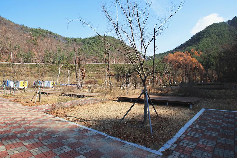 영주호오토캠핑장