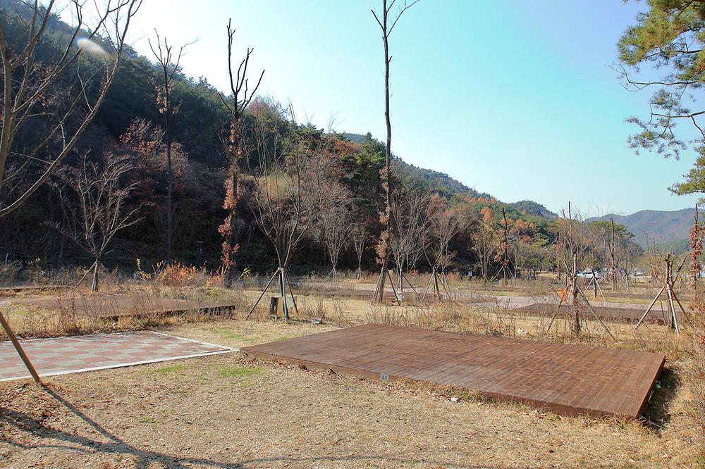 영주호오토캠핑장