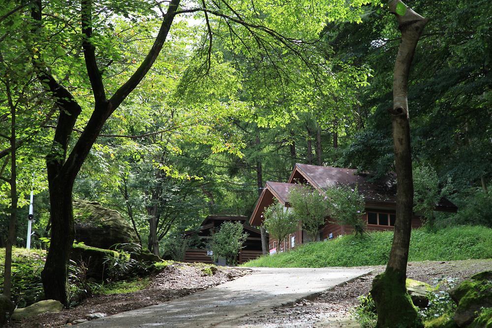 와룡자연휴양림 자동차야영장