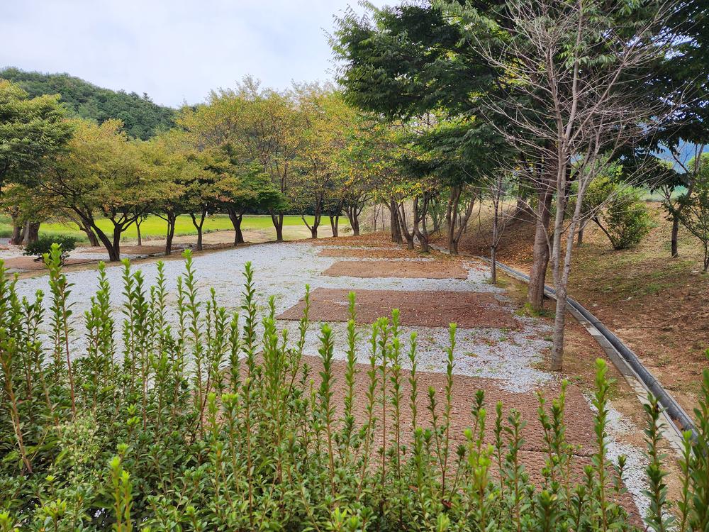용인반딧불캠핑장