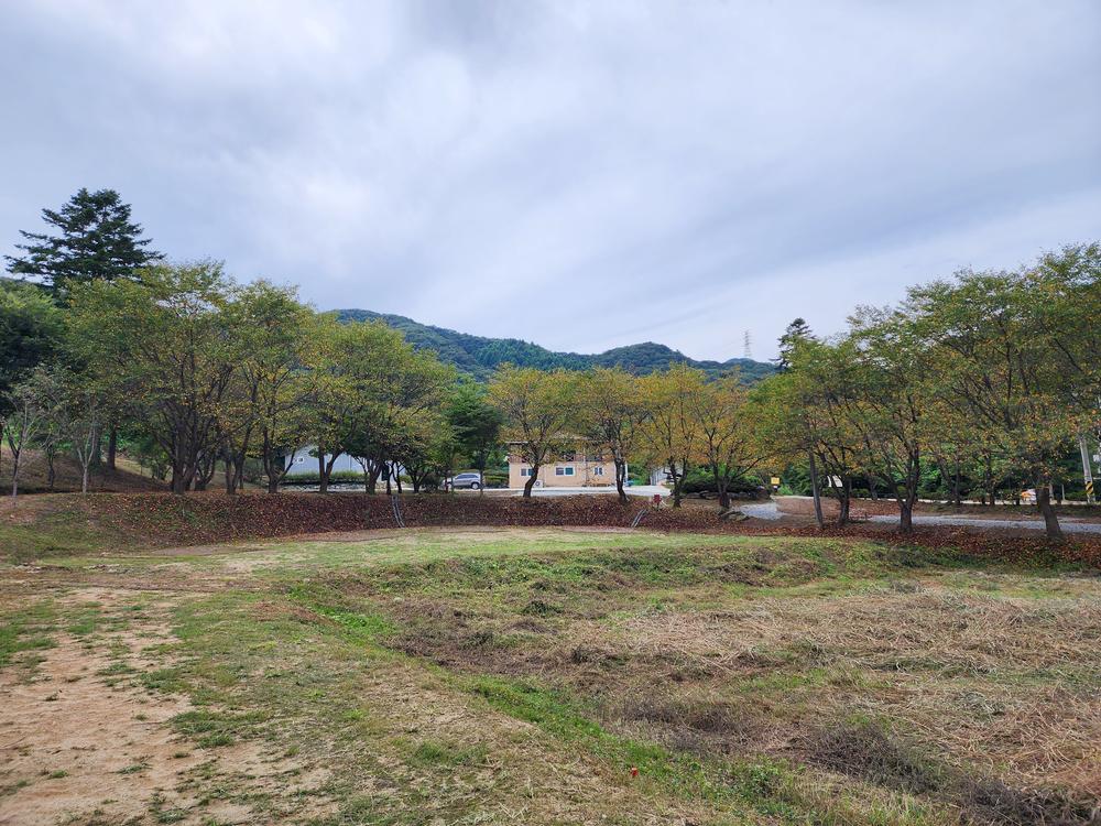 용인반딧불캠핑장