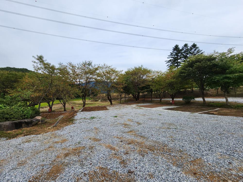 용인반딧불캠핑장