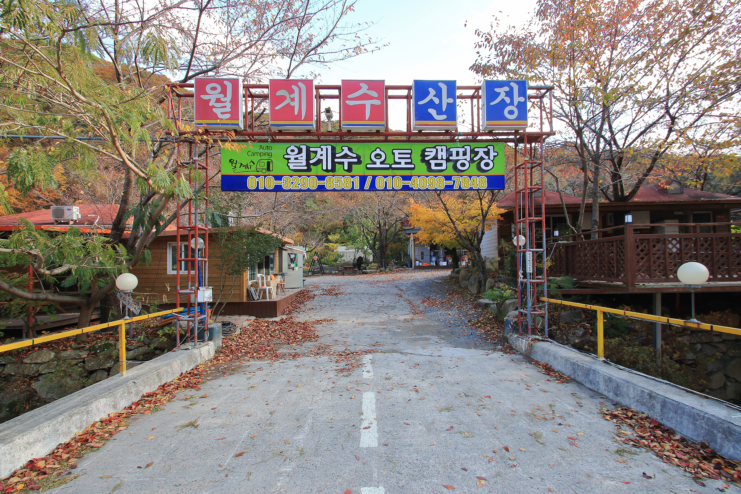 월계수 캠핑장